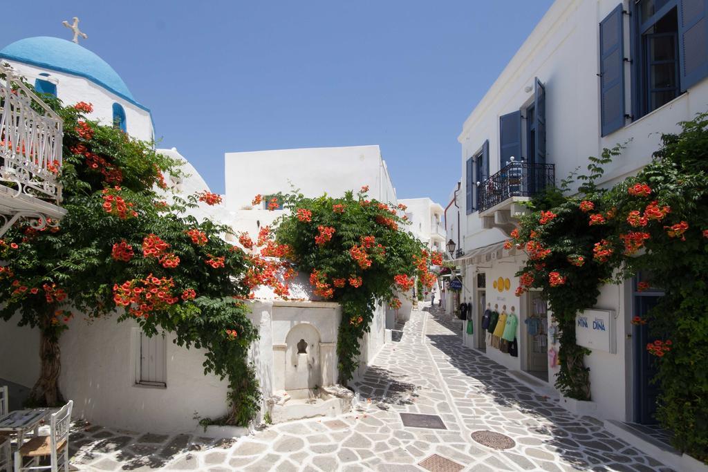 Hotel Dina Páros Rum bild